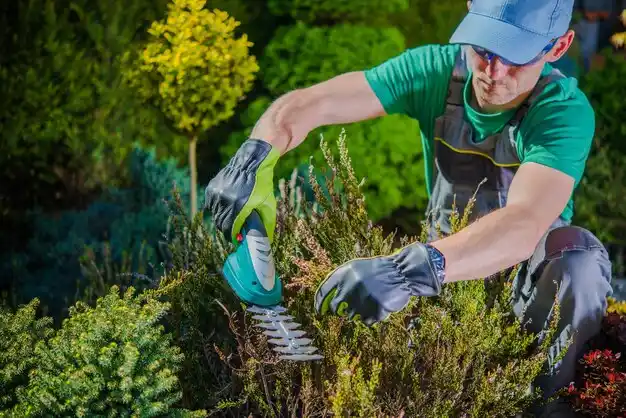 landscaping services Kaleva